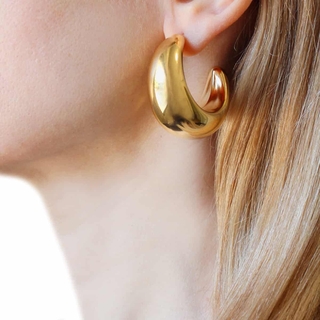 Γυναικεία Σκουλαρίκια Κρίκοι Asta CPE688D Anartxy Ατσάλινα-Επιχρύσωση IP 